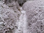 Wirral Snow